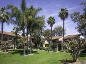 Thumbnail 32 of 34 - Outdoor Courtyard at Eucalyptus Grove Apartments, Chula Vista, CA, 91910